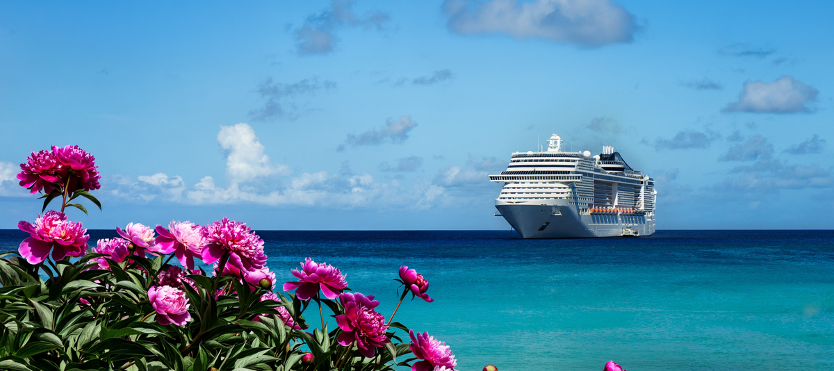 Kreuzfahrtschiff auf dem in Blautönen schimmerndem Meer mit pinkfarbenen Pfingstrosen im Vordergrund