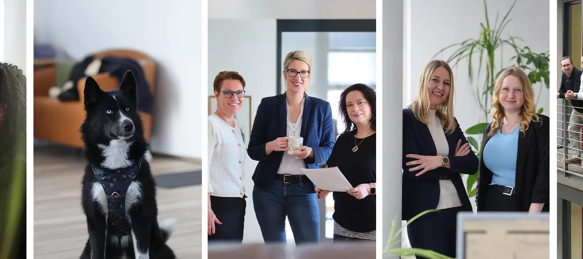 Kreuzfahrtberater Mitarbeiter Collage